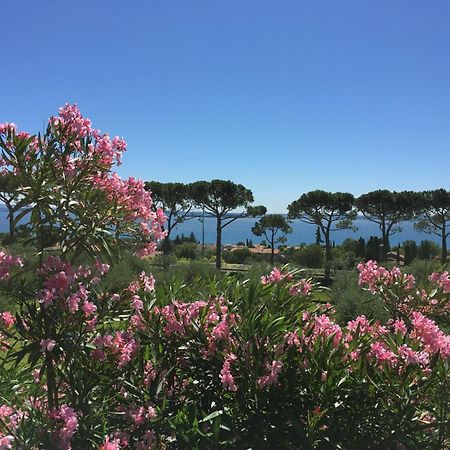 Agriturismo Nonna Bettina Moniga del Garda المظهر الخارجي الصورة