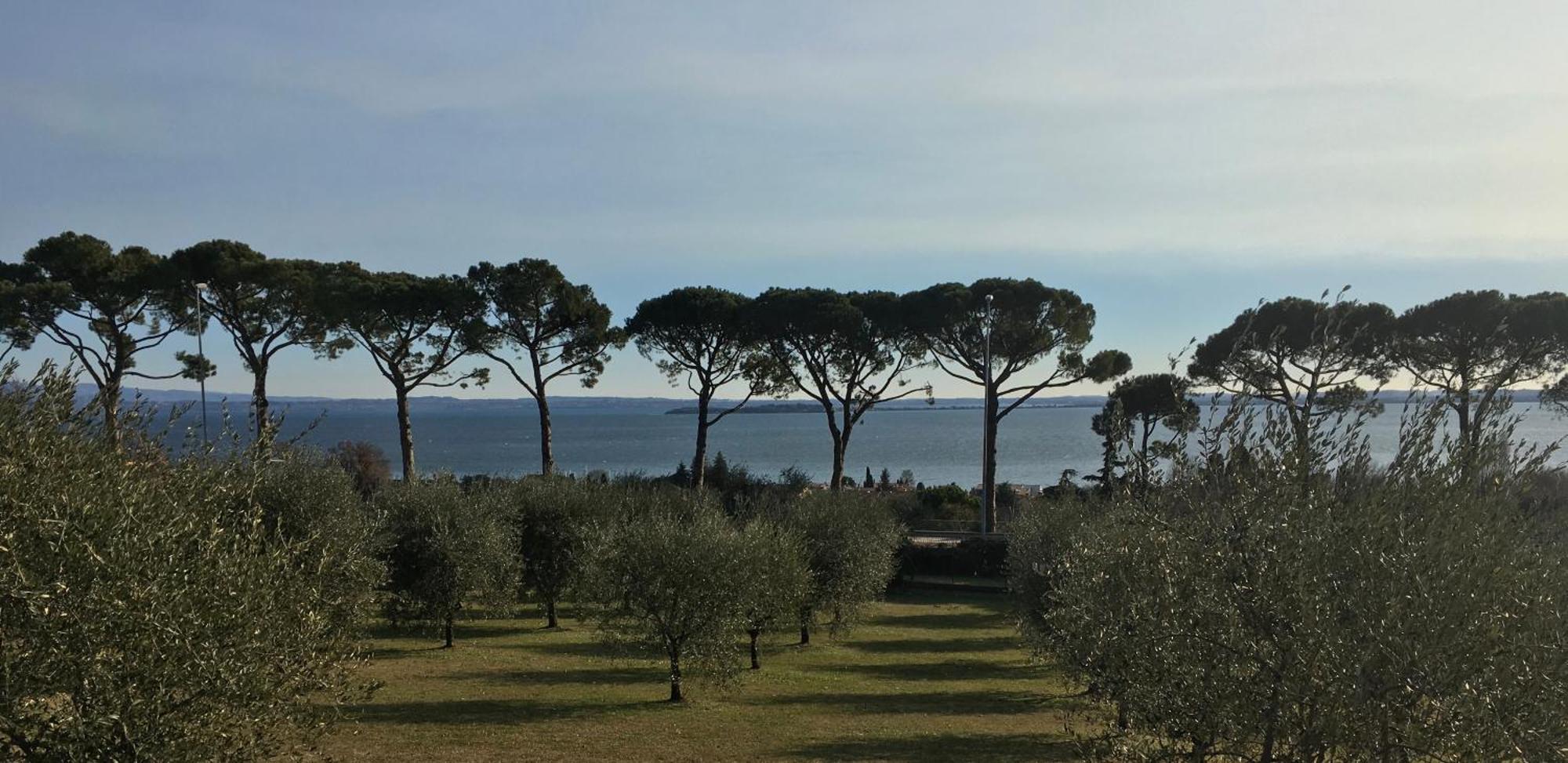Agriturismo Nonna Bettina Moniga del Garda المظهر الخارجي الصورة