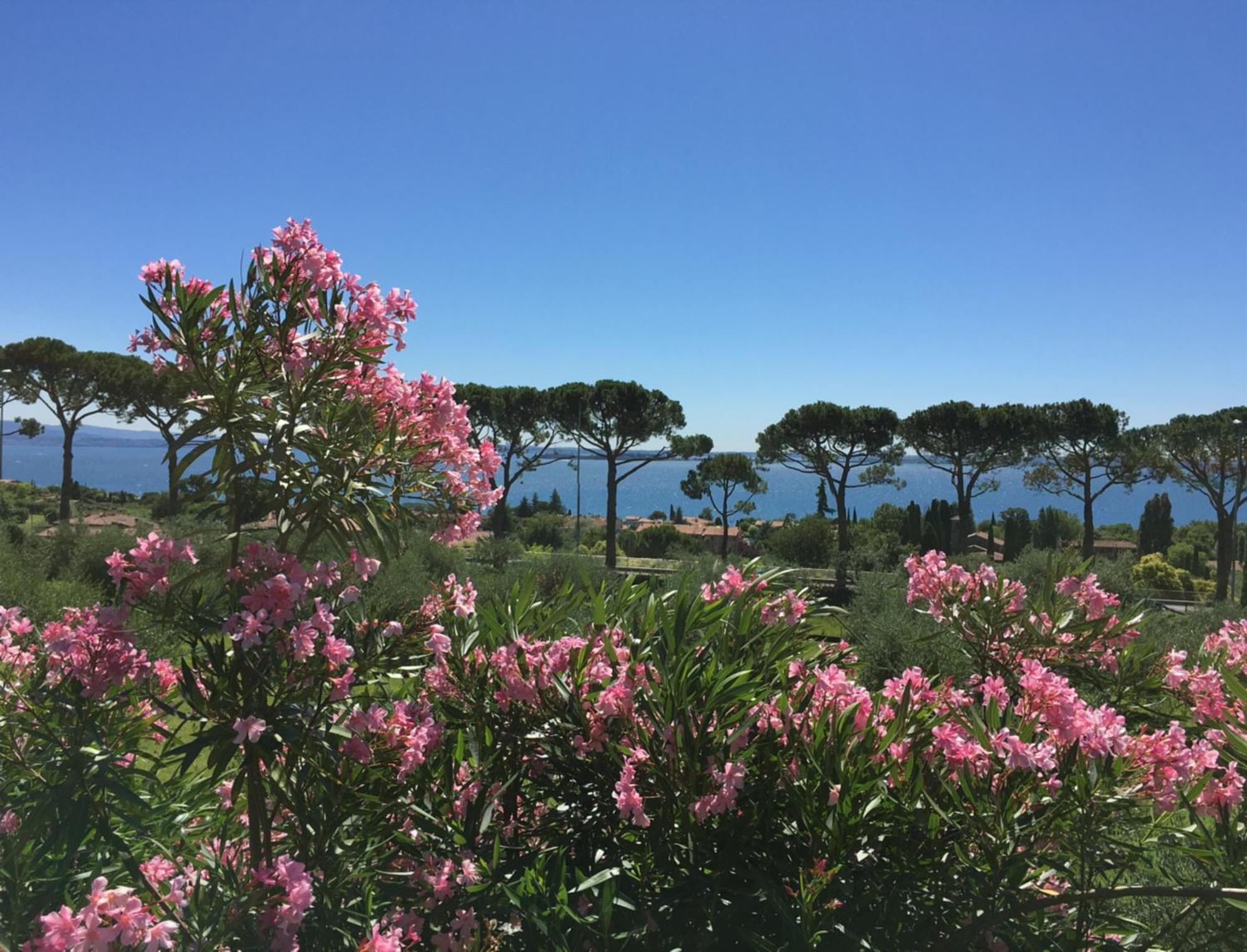 Agriturismo Nonna Bettina Moniga del Garda المظهر الخارجي الصورة